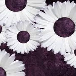 Meet your Posher, Kelli